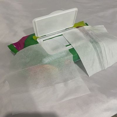 低刺激性の自然な赤ん坊のぬれたワイプ60pcsのアロエ ヴィエラ添加物無し