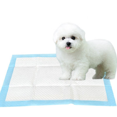 防水60*90cm使い捨て可能な子犬の訓練は乾燥した表面にパッドを入れる